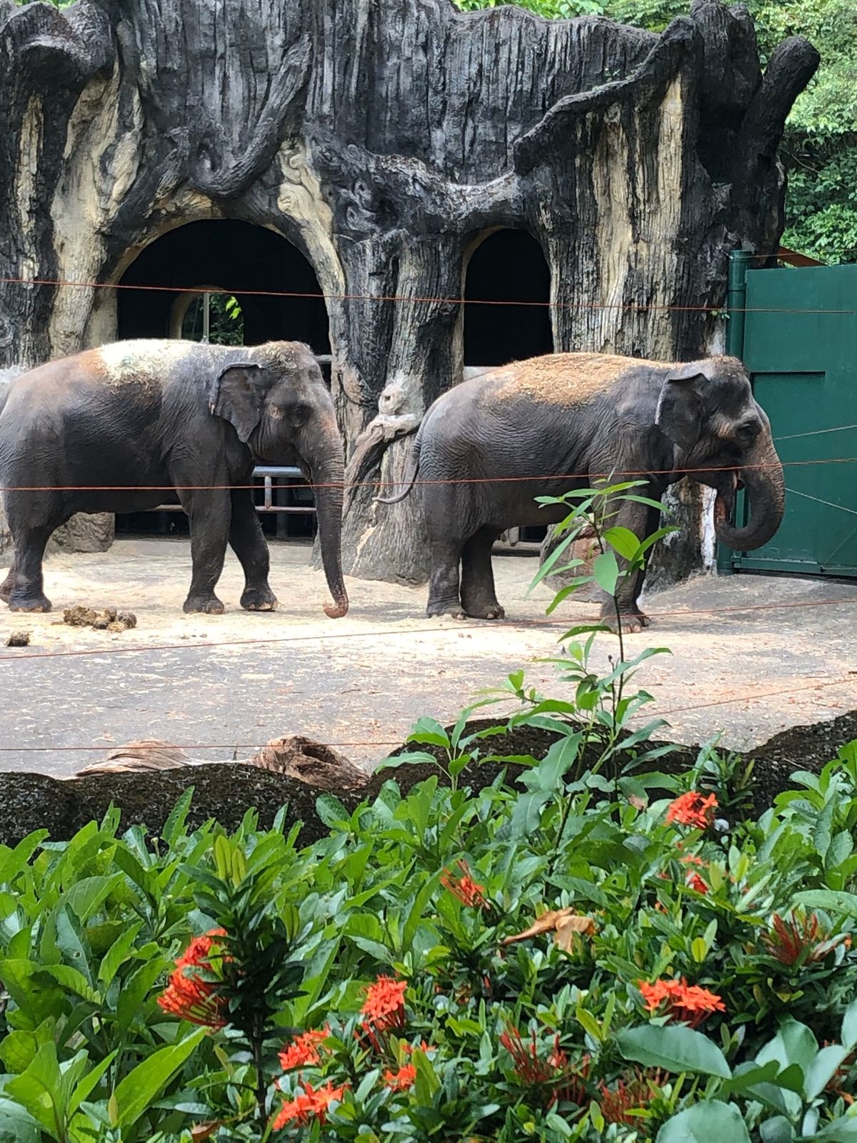 最終日は動物園へ。