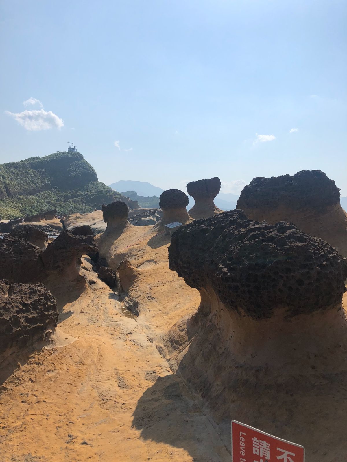 朝食は梁記嘉義鶏肉飯♫実はテイクアウトでランチも同じ物を食べました笑
バス...