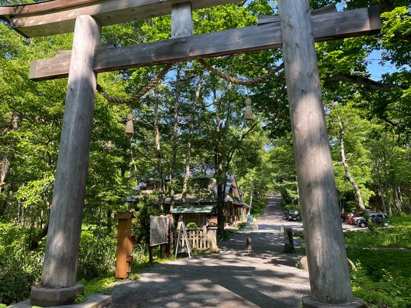 日本・長野県「2024 戸隠バードウォッチング」の写真：奥社参拝後は参道を戻ります。