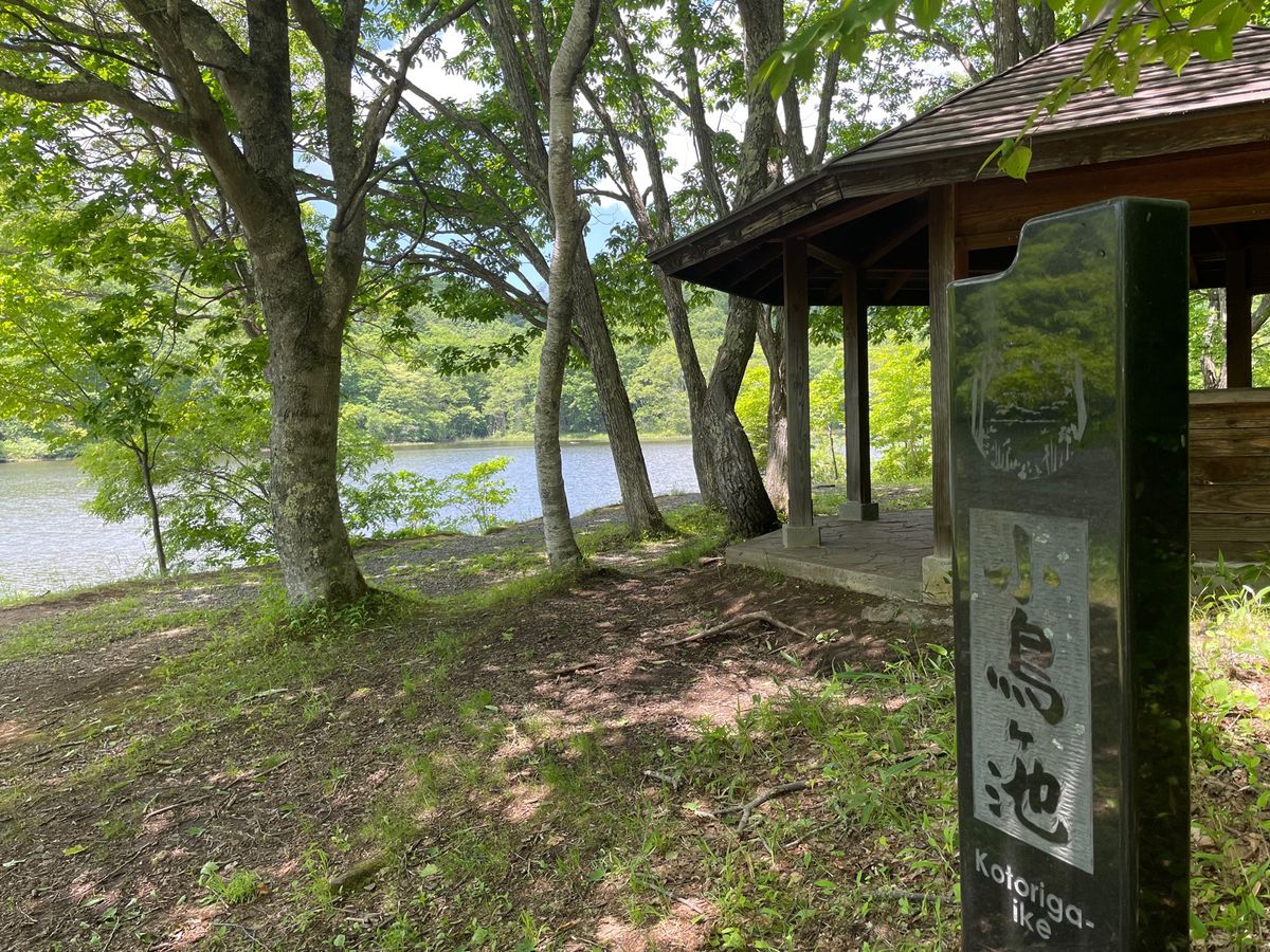 中社からハイキングを開始。先ずは小鳥が池へ。