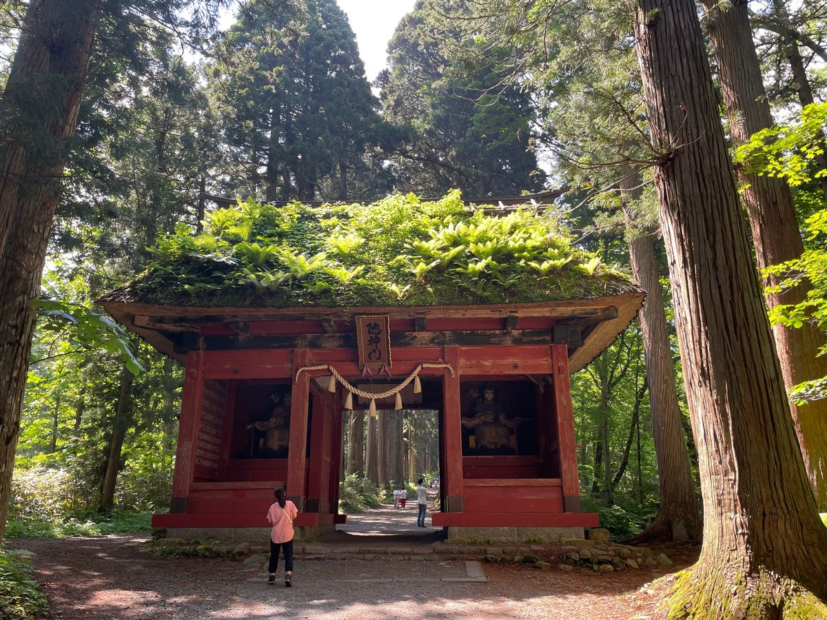 奥社に向かう参道の途中にある随神門です。宮崎駿のアニメに出てきそうな雰囲気...