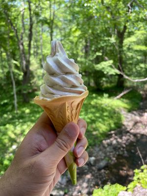 奥社入口近くの茶屋で蕎麦ソフトクリーム。テラス席は小川のせせらぎを眺めなが...