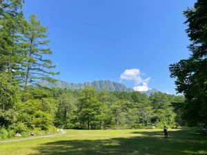 戸隠植物園でバードウォッチング。キビタキ、アカゲラ、アオゲラなどなどたくさ...