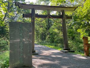 奥社参拝後は参道を戻ります。