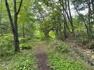 緑の中を歩いて硯石に。途中「熊出没注意」の看板に怯えながら歩きます。