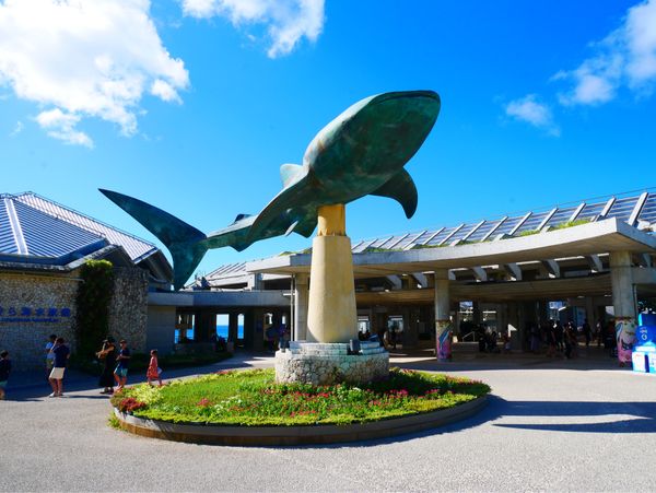 日本「沖縄旅行」の写真：美ら海水族館