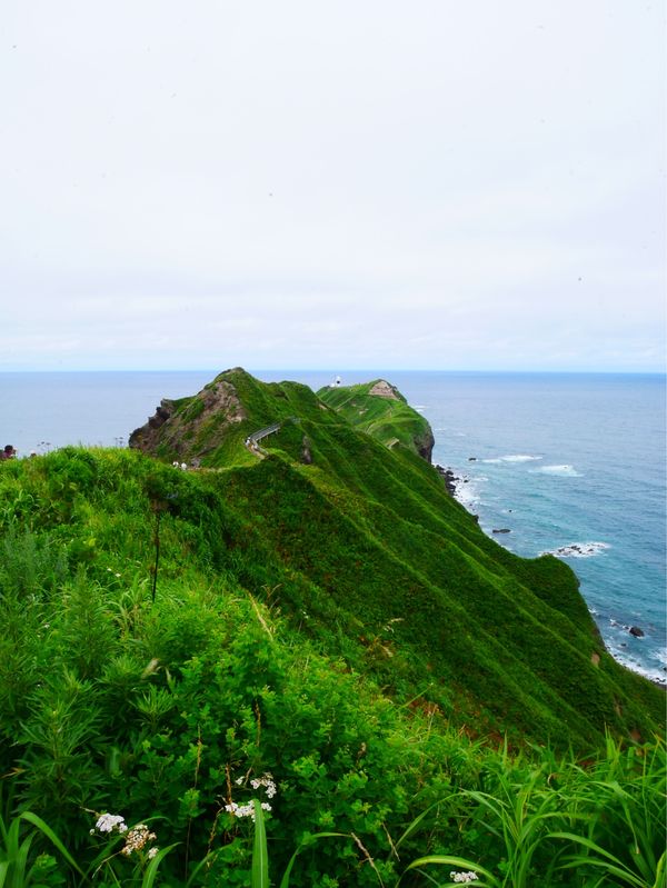 日本・北海道「北海道周遊旅行」の写真：神威岬