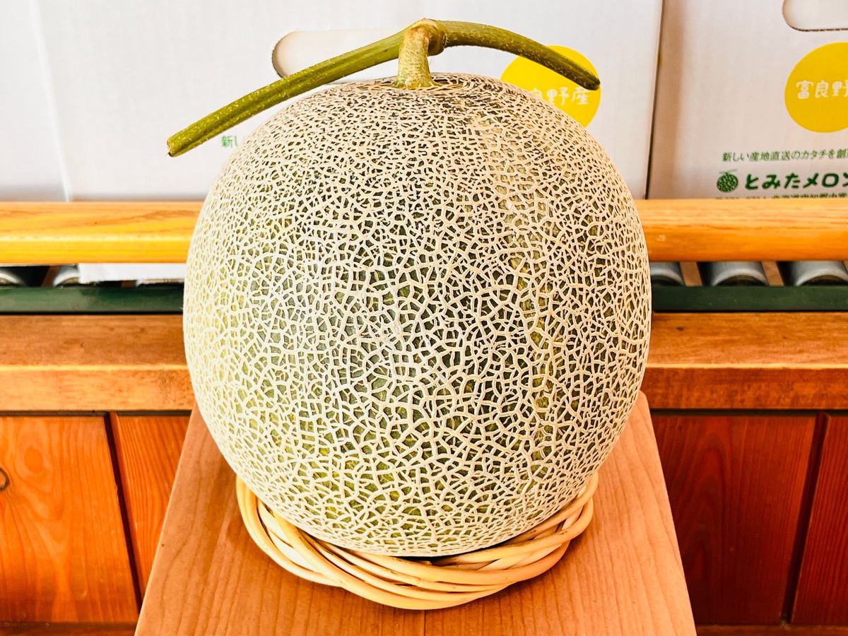 とみたメロンハウス