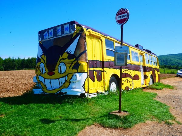 日本・北海道「北海道周遊旅行」の写真：戸外炉峠のねこバス
