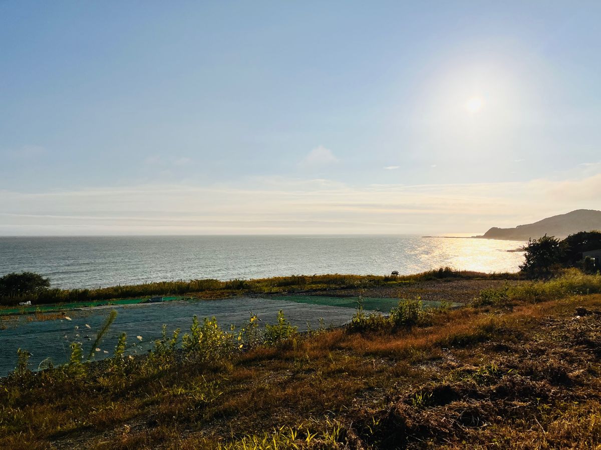 国道336号（黄金道路）