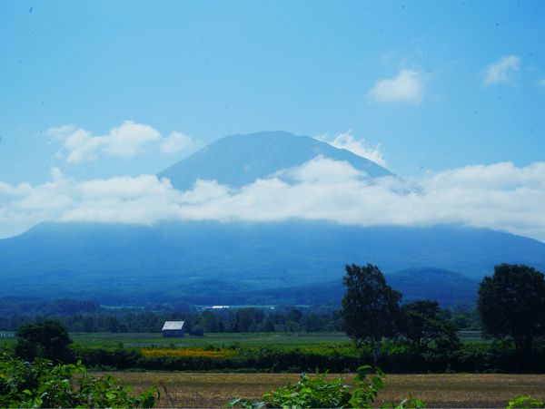 日本・北海道「北海道周遊旅行」の写真：八幡ビューポイントパーキング