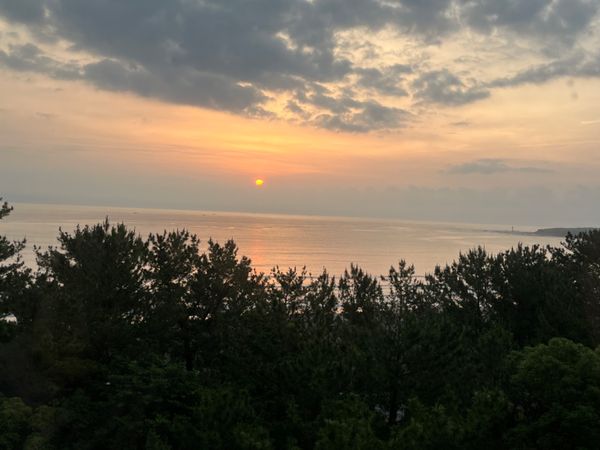 日本・宮崎県「両親と次男旅行」の写真：青島