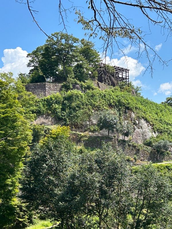 日本・石川県「岐阜　家族旅行」の写真：苗木城