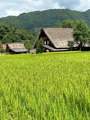 白川郷そのに