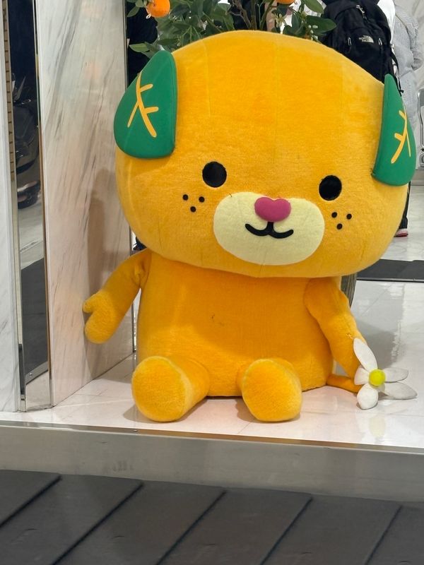 日本・「愛媛県」「四国旅行」の写真