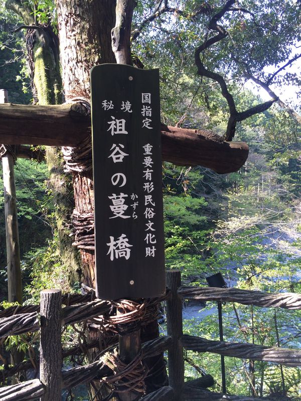 日本・徳島県「徳島県」の写真