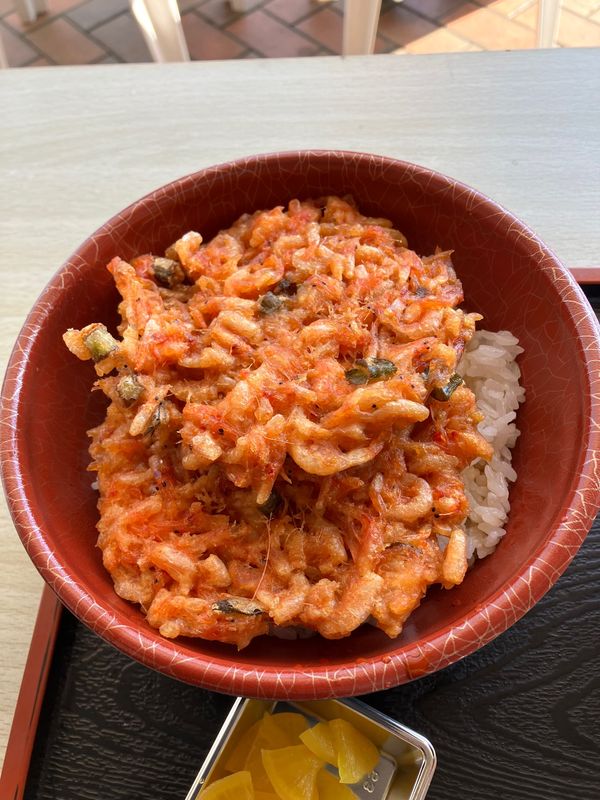 日本・静岡県「富士山を北から南から、羽田成田撮影」の写真