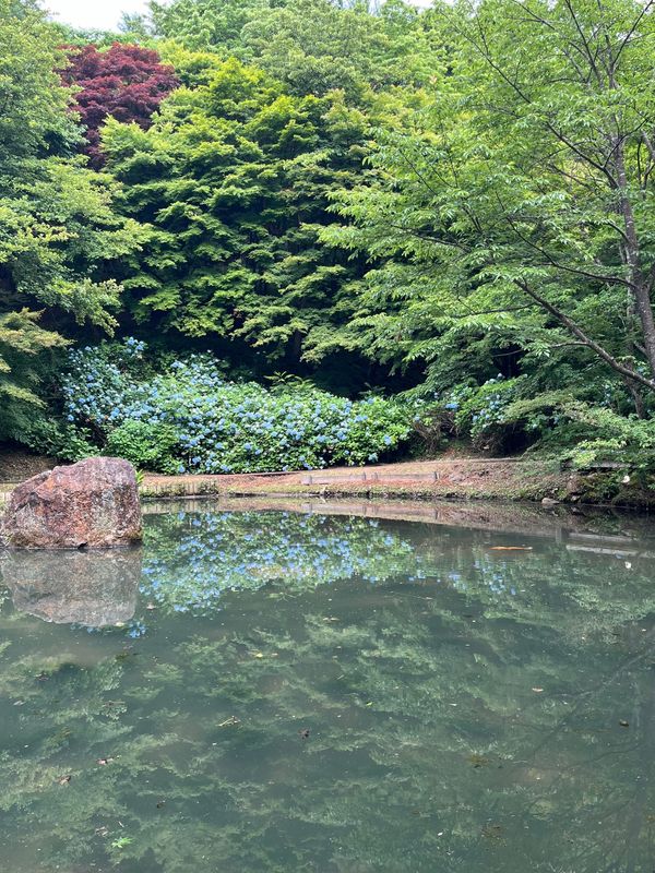 日本・京都府「京都･舞鶴お出かけ」の写真