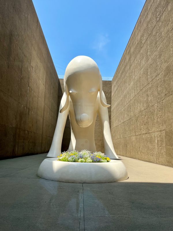 日本・新青森「青森日帰り旅」の写真