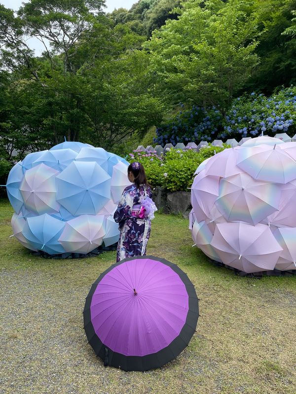 日本・静岡県「袋井・浜松」の写真