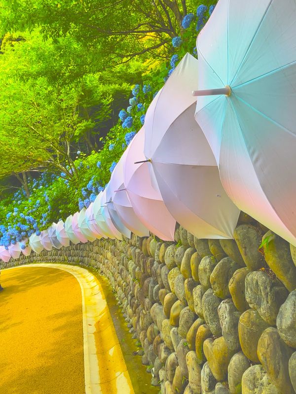 日本・静岡県「袋井・浜松」の写真