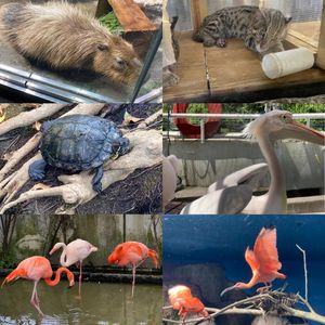 鳥羽水族館②