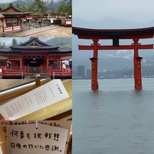 観光編
・厳島神社
・宮島水族館
・マツダスタジアム