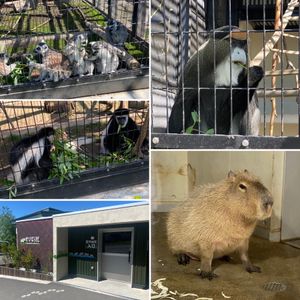 旭山動物園②