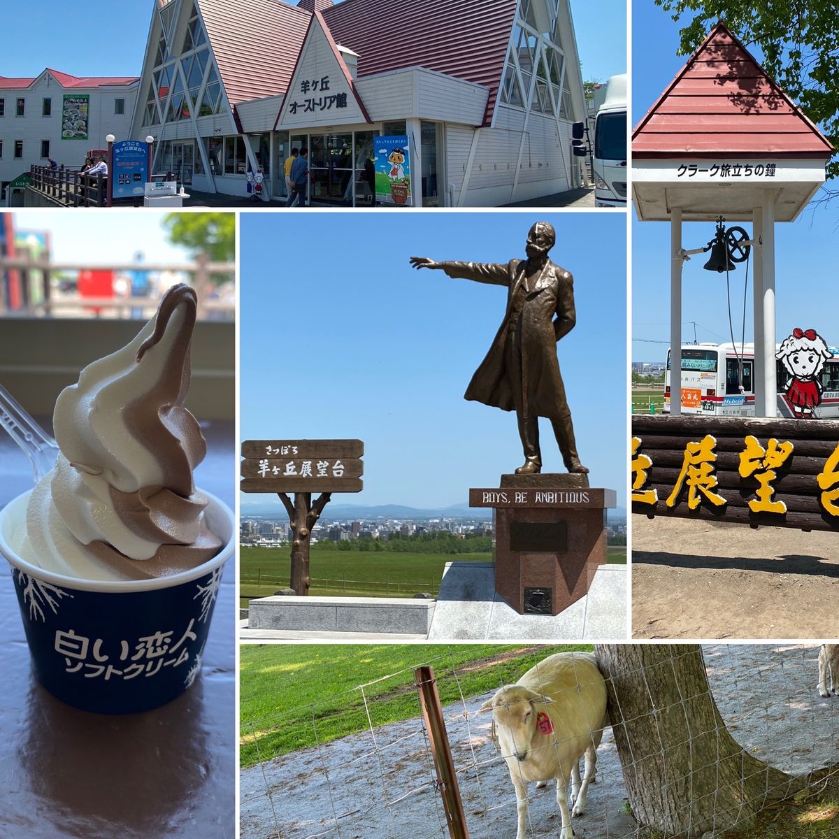 3日目　札幌市
・北海道大学
・モエレ沼公園ガラスのピラミッド
・さっぽろ...