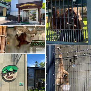 旭山動物園②