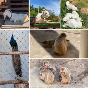 旭山動物園②