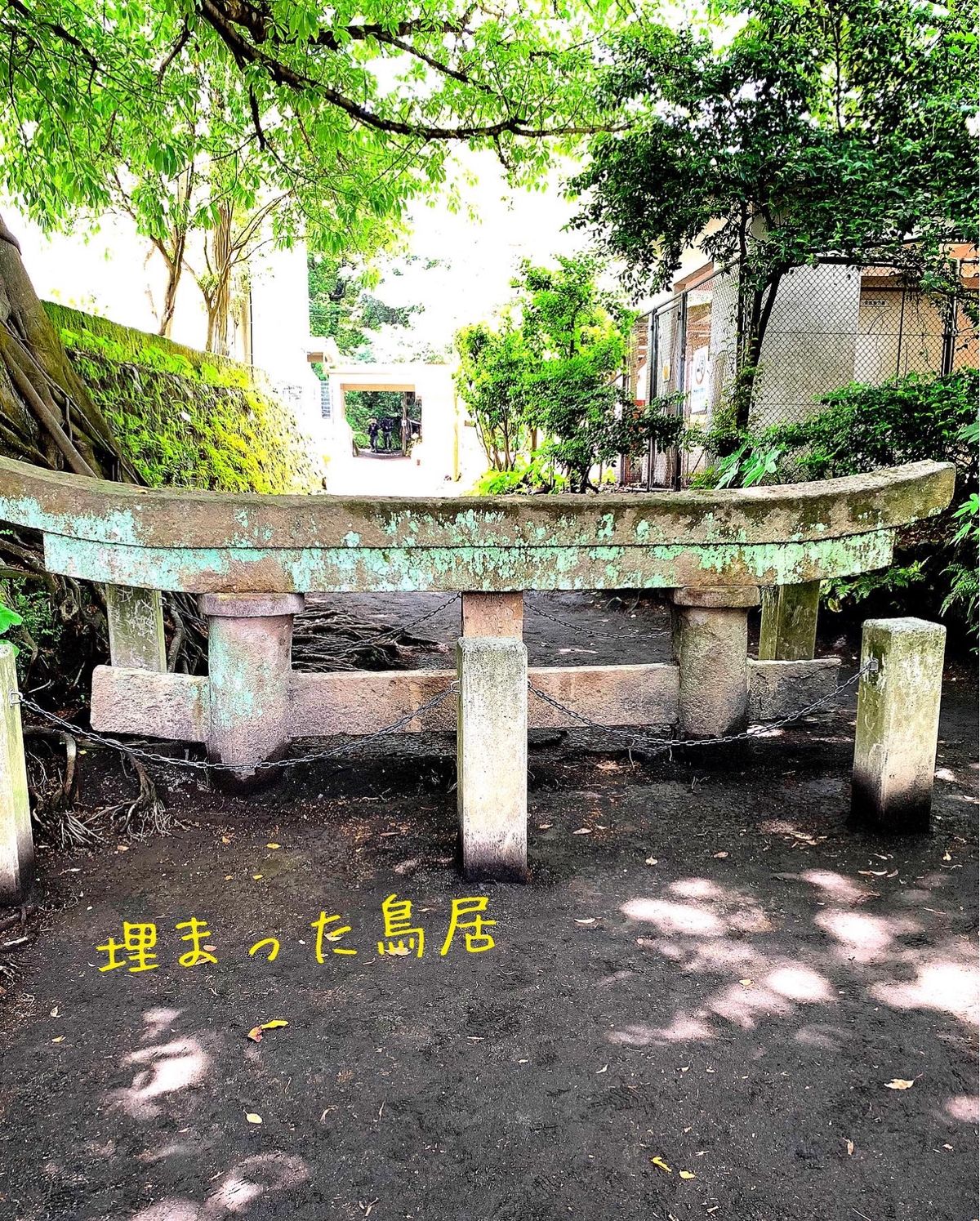 桜島を目の前で見られた時は感動でした。本州最南端の佐多岬は特別な思いが湧き...