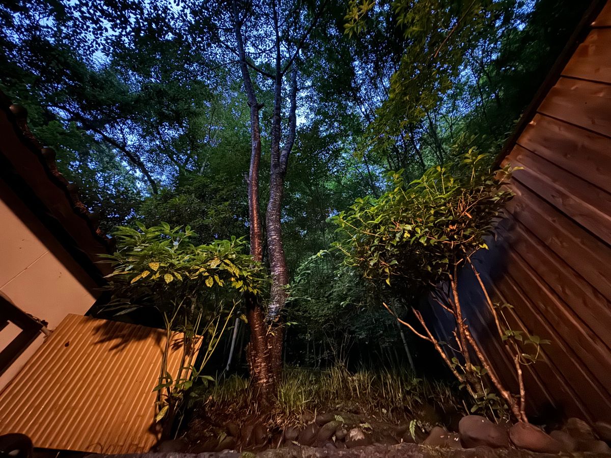 家族風呂【竹の湯】
無料なの嬉しい
