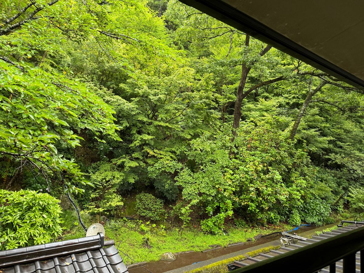 緑の中に泊まりたくて。
雨だけど心地いい