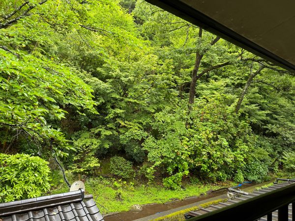 日本・熊本県「黒川温泉」の写真：緑の中に泊まりたくて。
雨だけど心地いい