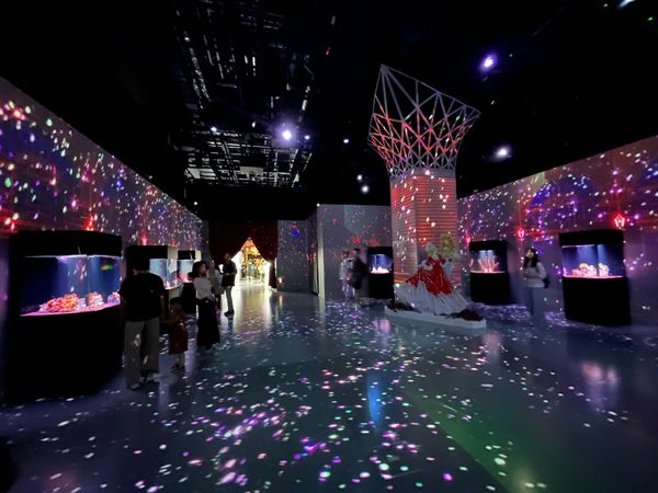 日本・東京「東京旅行」の写真