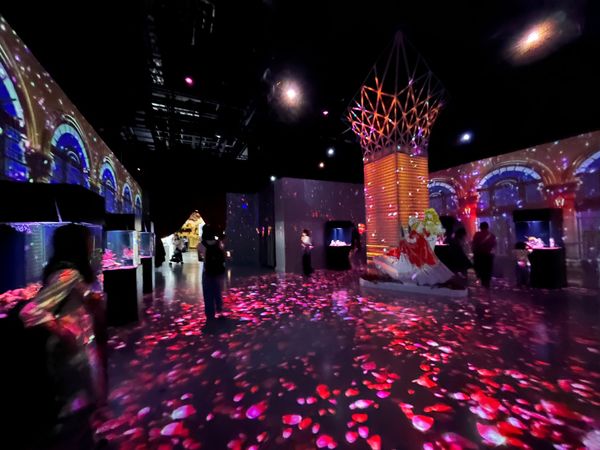 日本・東京「東京旅行」の写真