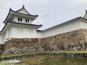 舞鶴公園　
田辺城跡（別名舞鶴城/ぶかくじょう）
細川幽斎が過ごした城🏯