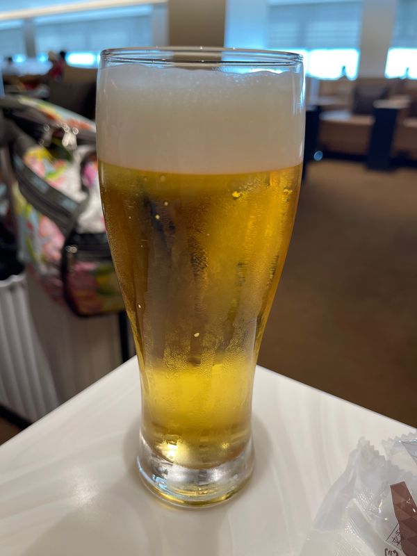 日本・京都府「神戸、大阪、京都」の写真：あっという間に帰る時間。最後に伊丹空港で...