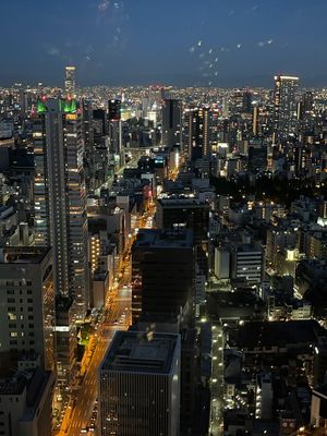 最高の眺めに大満足