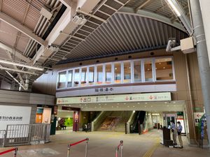 箱根湯本駅から登山電車に乗って強羅まで。線路脇には紫陽花の花が咲いてました。