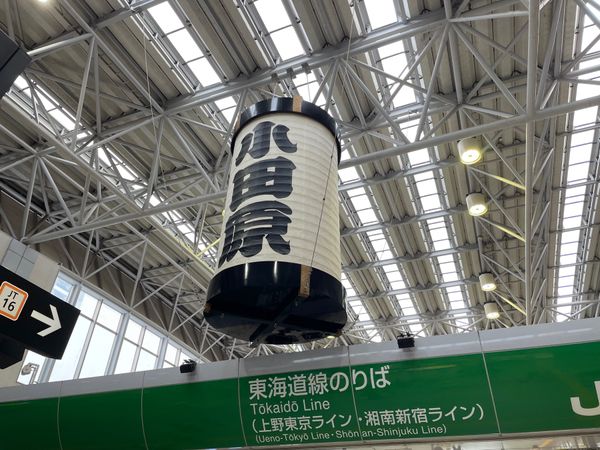 日本・神奈川県「あじさい電車と箱根温泉」の写真：箱根の後は小田原へ