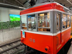 箱根湯本駅から登山電車に乗って強羅まで。線路脇には紫陽花の花が咲いてました。