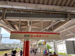 箱根湯本駅から登山電車に乗って強羅まで。線路脇には紫陽花の花が咲いてました。