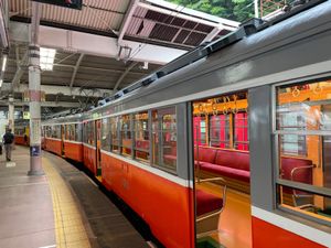 箱根湯本駅から登山電車に乗って強羅まで。線路脇には紫陽花の花が咲いてました。