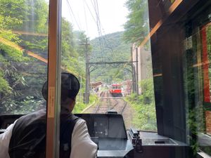 再び登山電車で紫陽花を見ながら箱根湯本に戻ります。