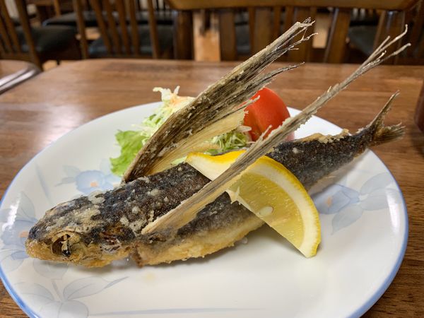 日本・縄文杉、白谷雲水峡、いなか浜「屋久島ひとり旅」の写真：やくすぎ荘とたけすぎにお世話になりました...
