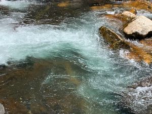 大川の滝！写真を撮っていると地元のおとうさんが来て「写真撮ってやるよ」と。...