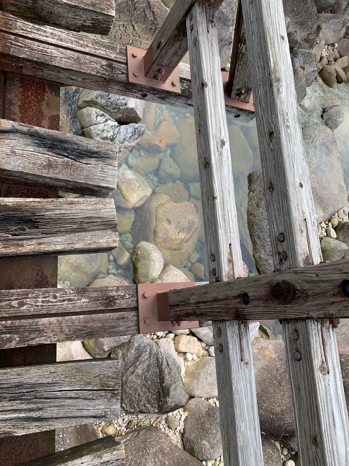 縄文杉までのツライ道のり。川のせせらぎに癒されました♡