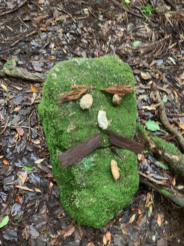 日本・縄文杉、白谷雲水峡、いなか浜「屋久島ひとり旅」の写真